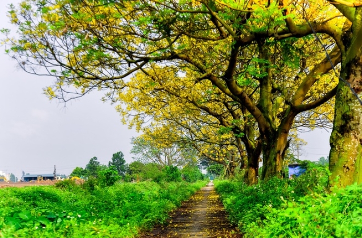 Bài dự thi: "Những ngôi nhà cao tầng của HUD" của Tổ công Đoàn văn phòng Chi nhánh Công ty HUDS - Xí nghiệp 3